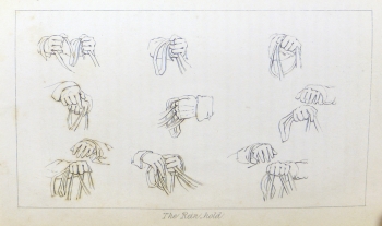 The rein-hold.