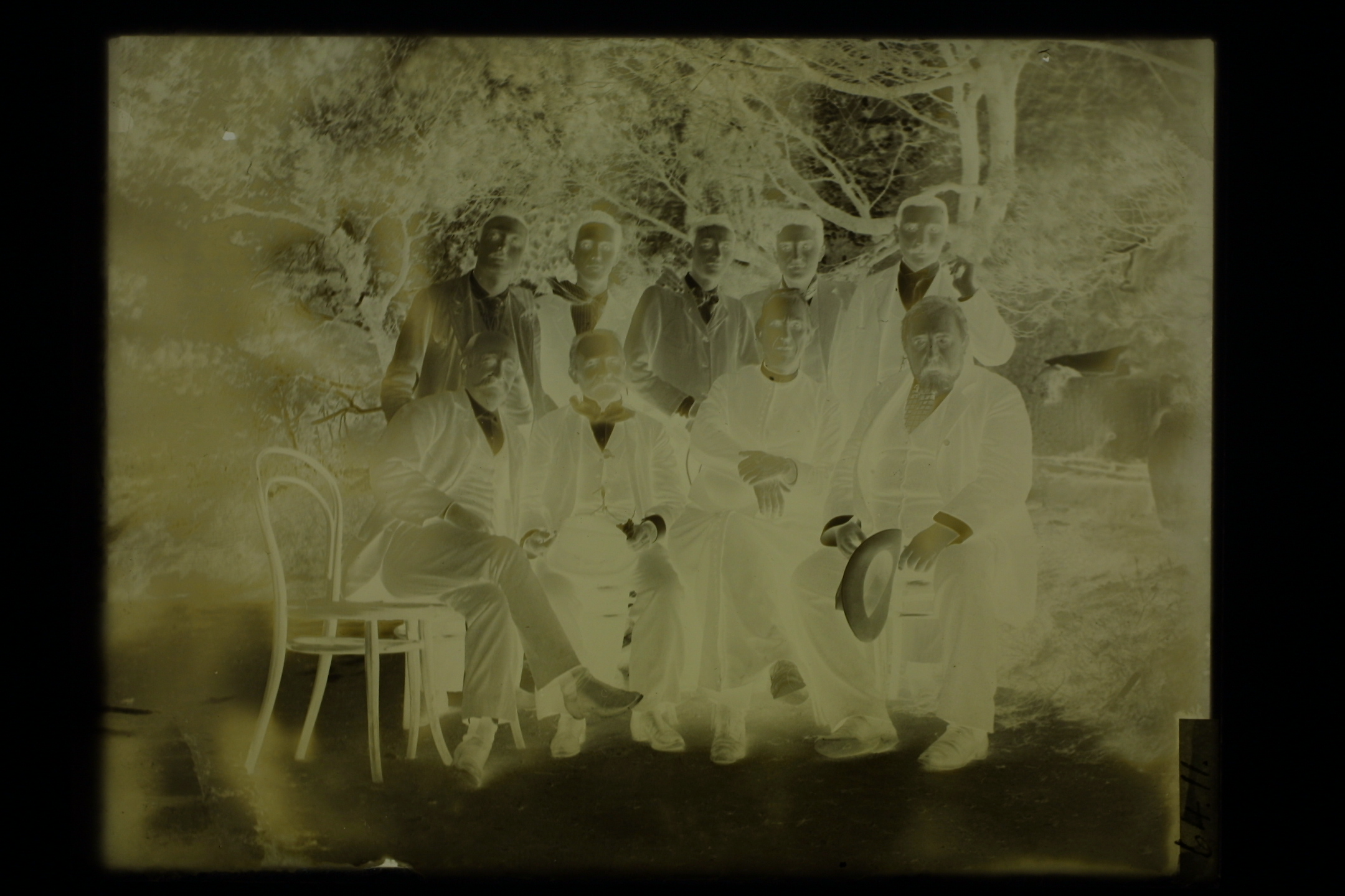 Scan of a glass plate negative (D64.11)
