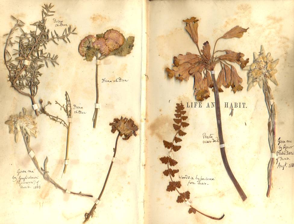 Butler's copy of the second edition containing pressed flowers