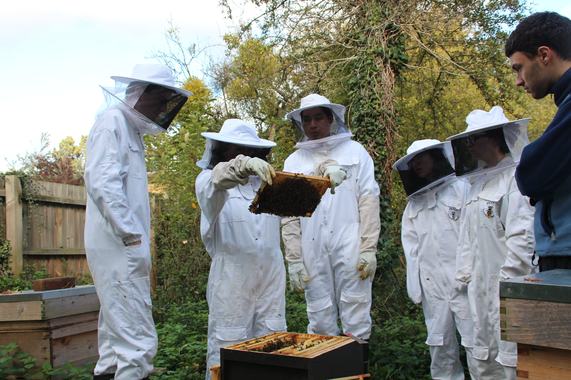 beekeepers viewing hive