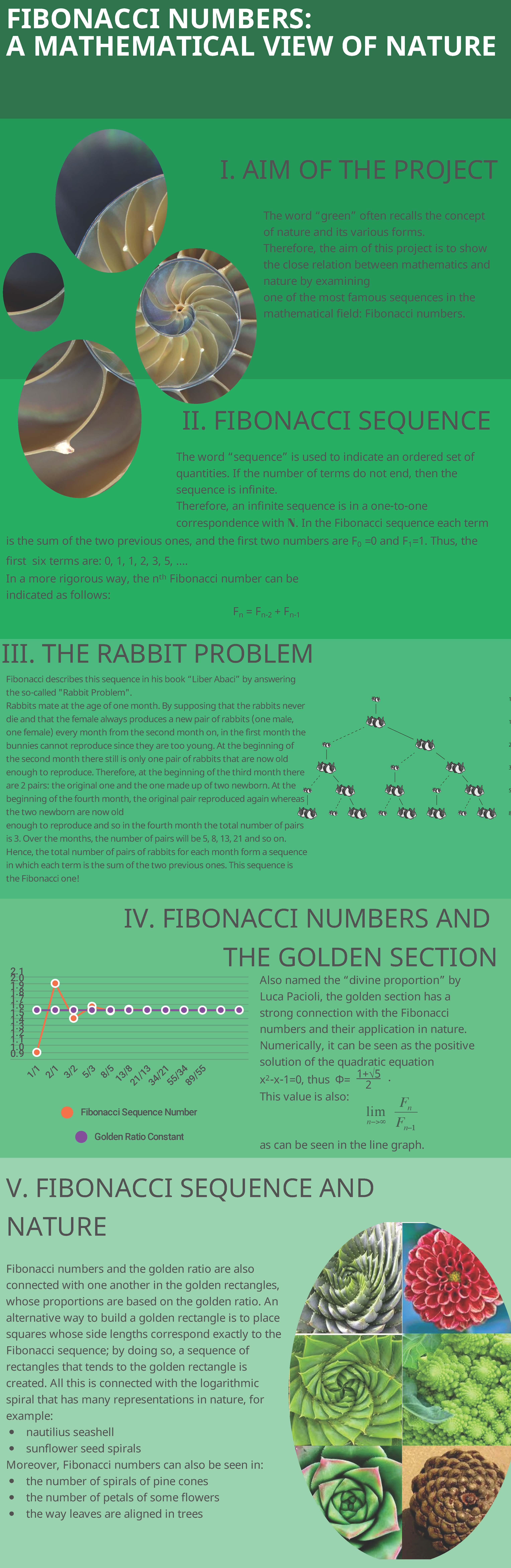 Fibonacci poster
