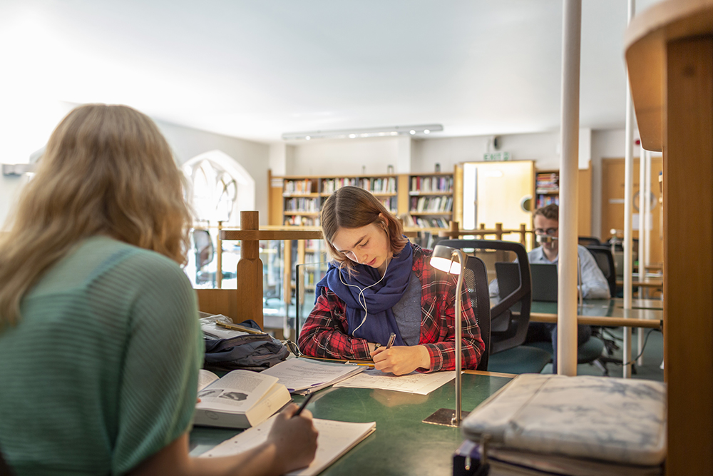 Students study in the library