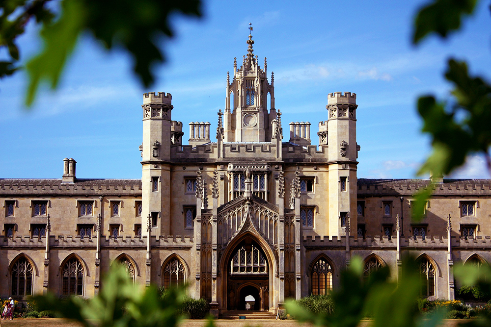 New Court seen through the leaves of a tree