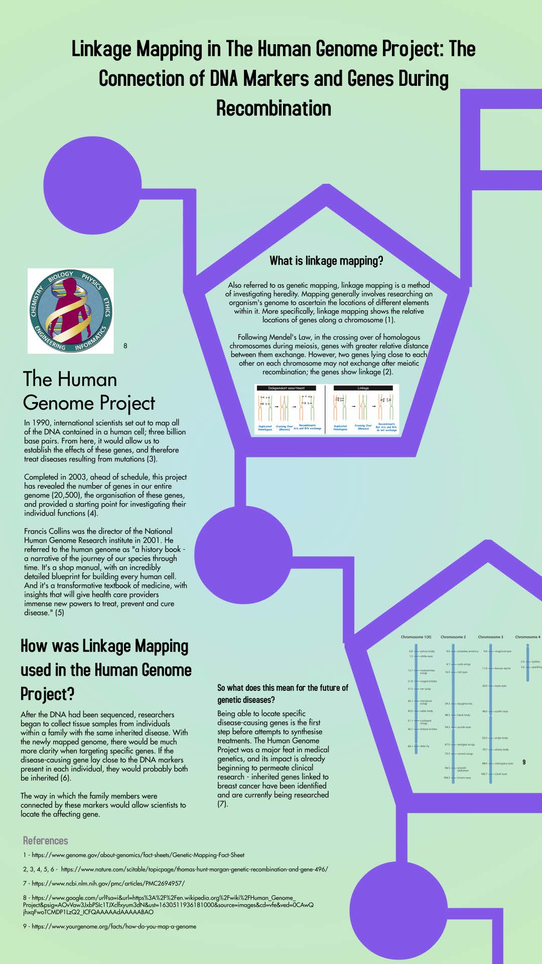 Linkage Mapping in the Human Genome Project poster