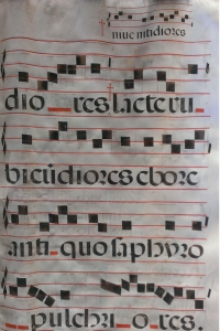 An error, corrected later by the scribe