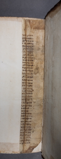 Manuscript fragment used in the binding