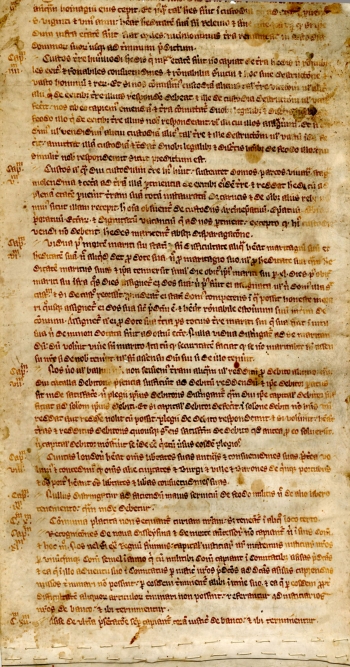 14th century copy of Magna Carta at SJC