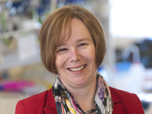 Professor Sheena Radford