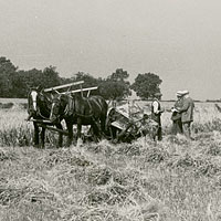 Gibbon's field, Tuxford, Nottinghamshire