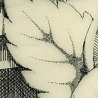 Design for stone rose