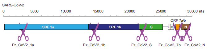 'Scissors' figure