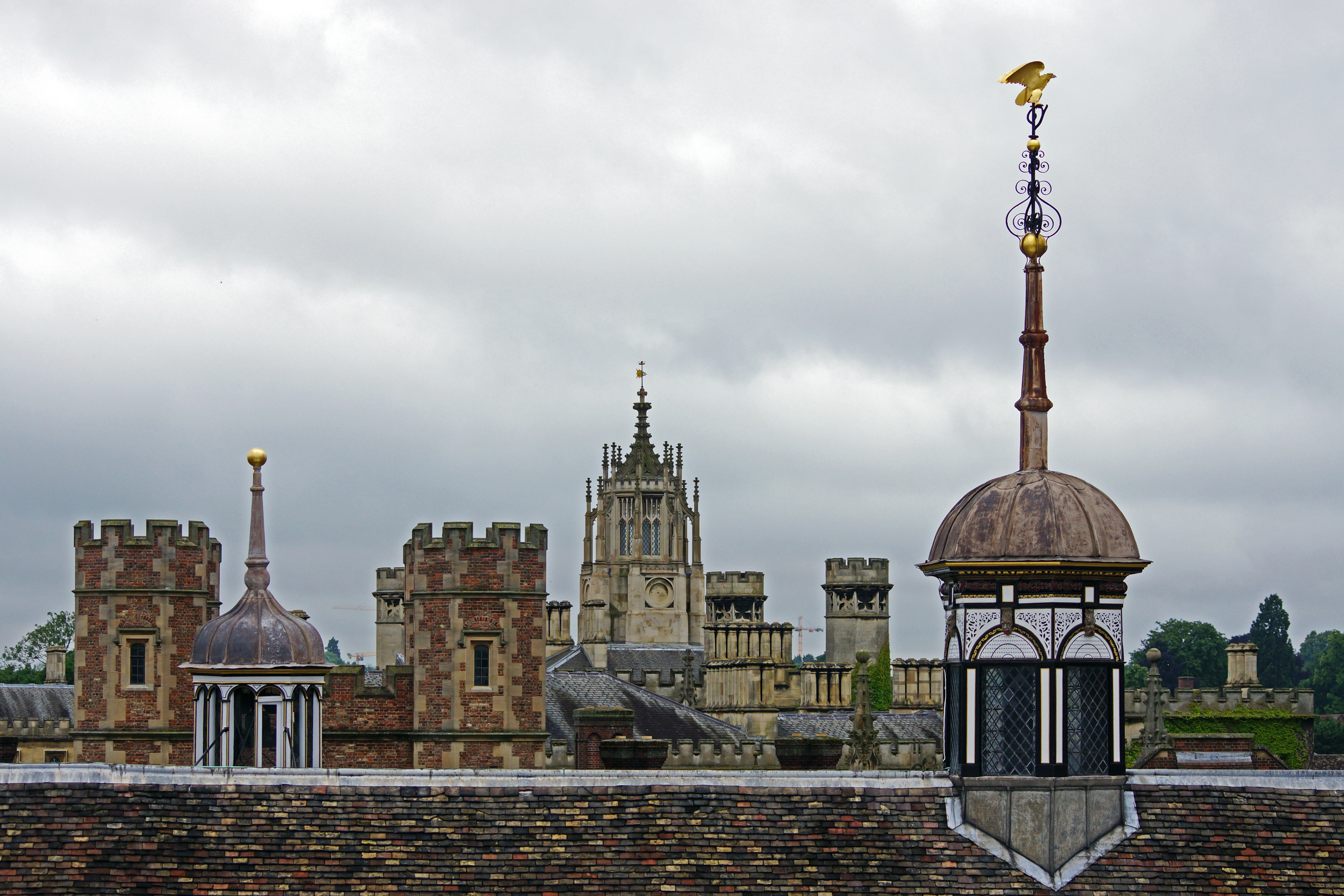 Rooftops of St John's