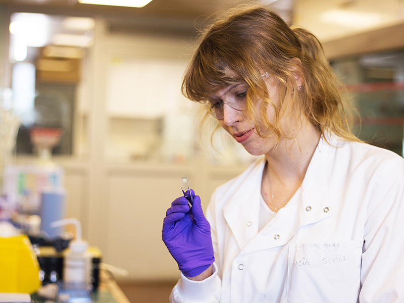 Katarzyna Sokół  in the Reisner laboratory