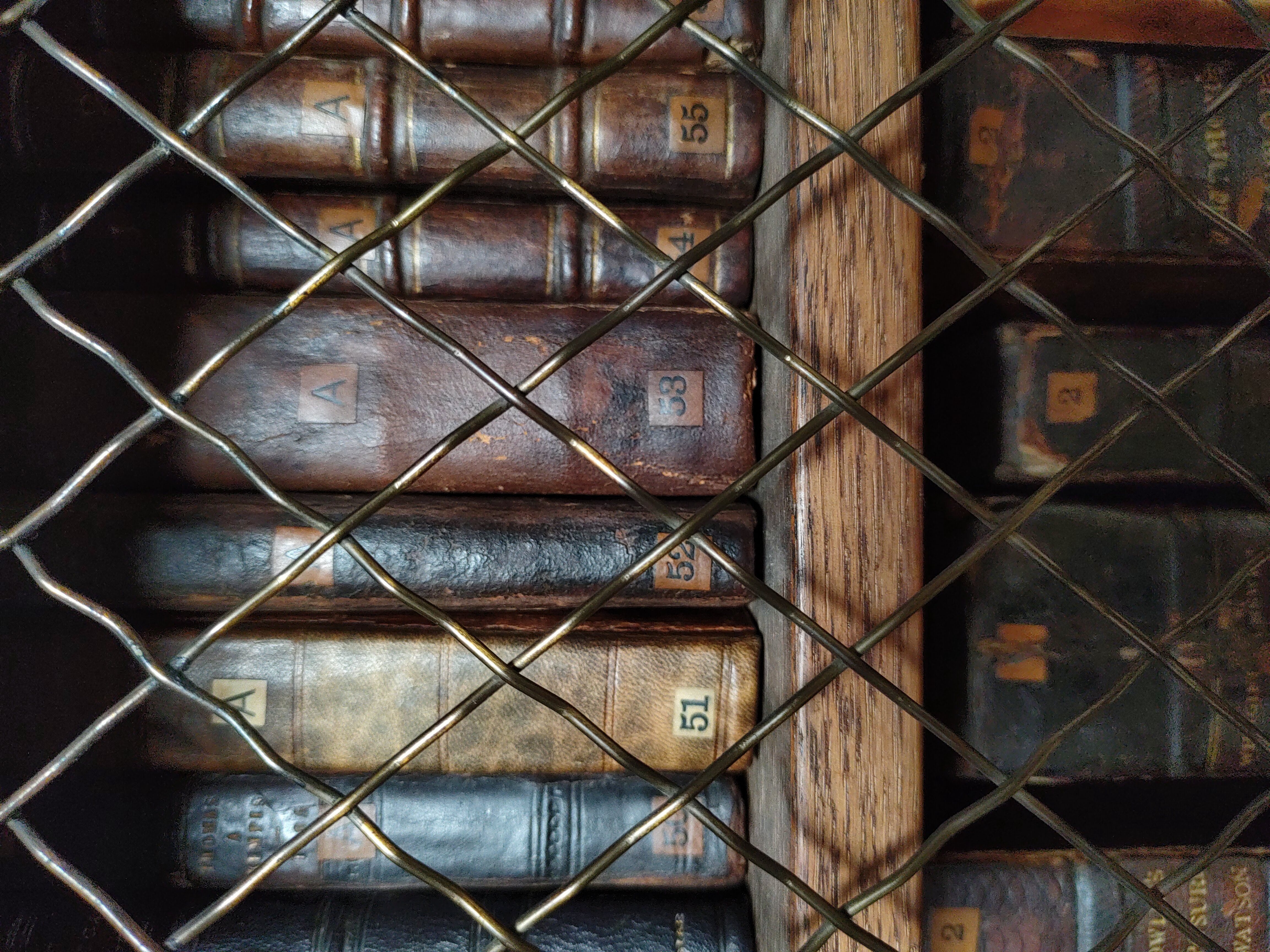 A shelf of books inside a metal cage.