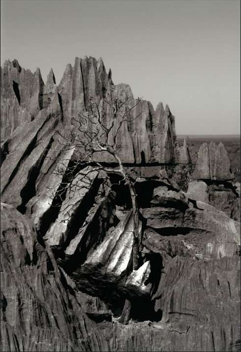 Alone on the Rocks photography winner
