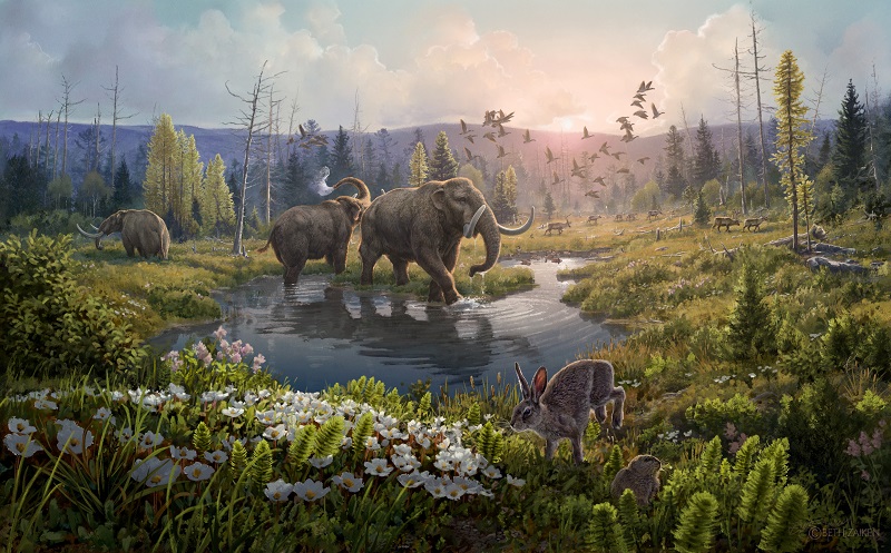 Artist's reconstruction of Kap København Formation two million years ago. CREDIT_ Beth Zaikenjpg