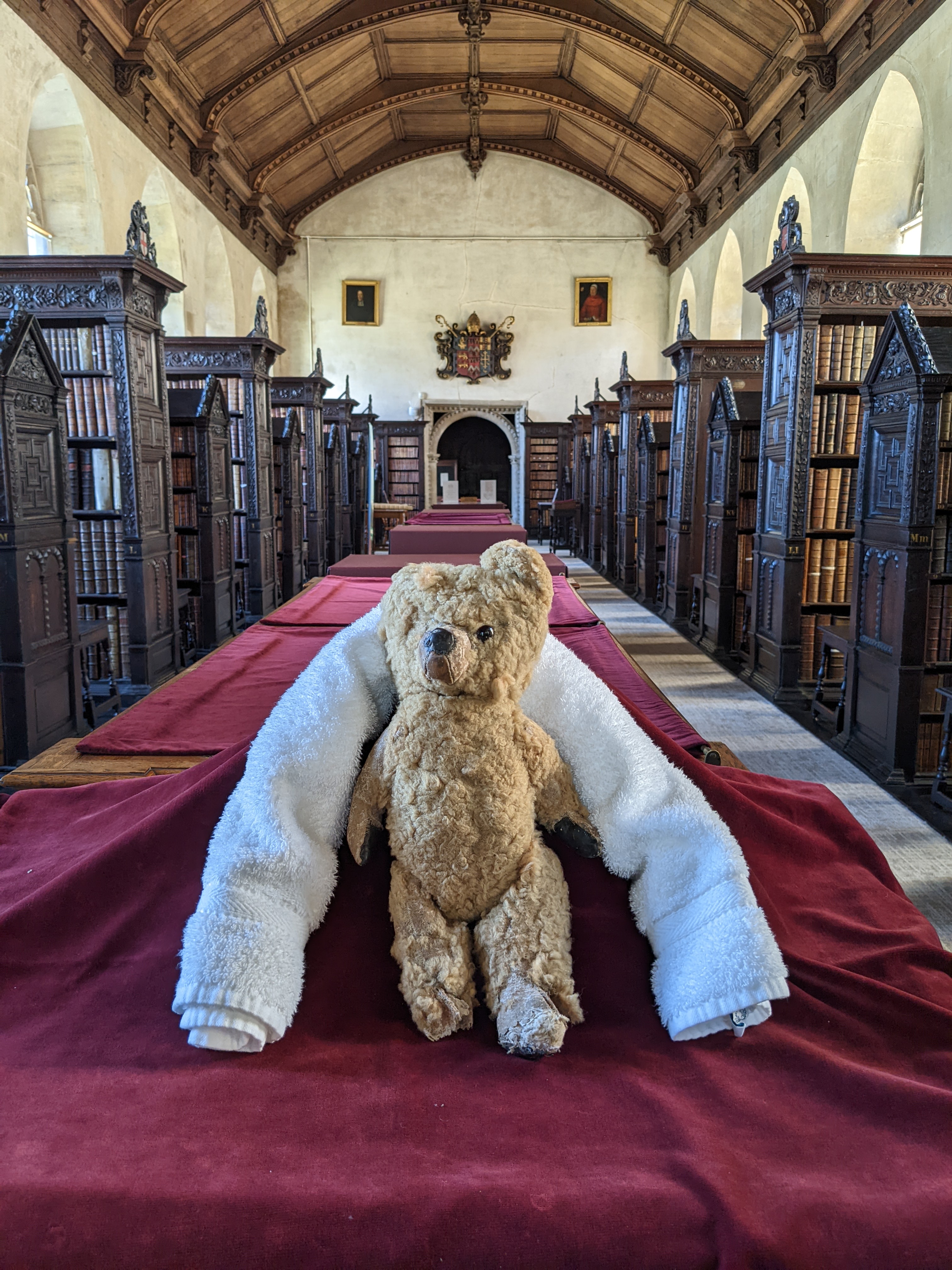 Teddy bear from Douglas Adams's private collection