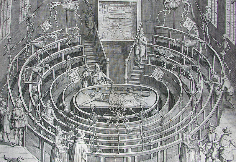 Anatomical theatre in Leiden