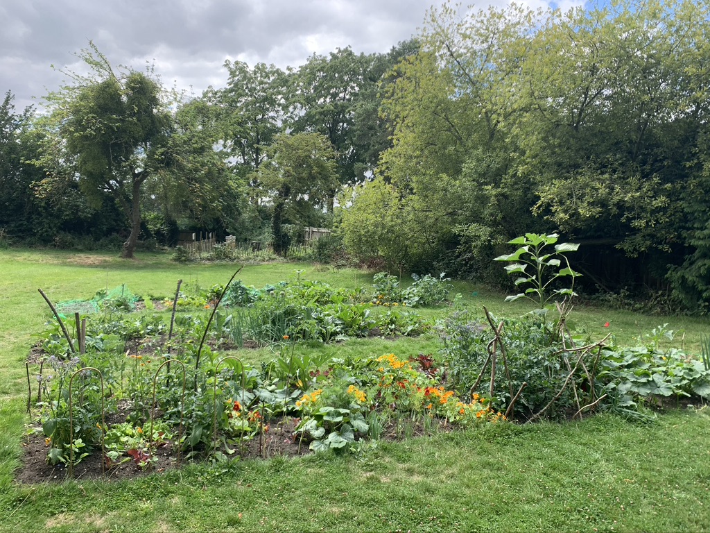 1 Madingley garden allotment