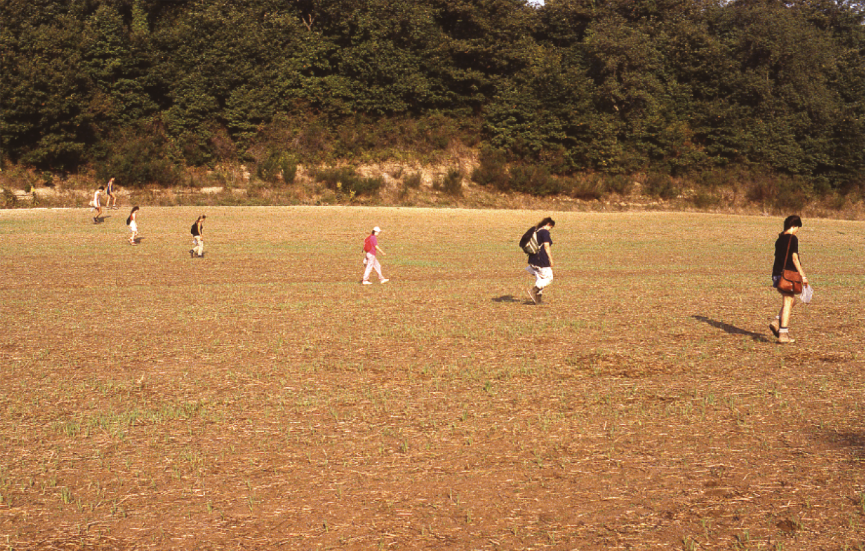 A group of archaeologists 'field-walking' near Tuscania in Italy