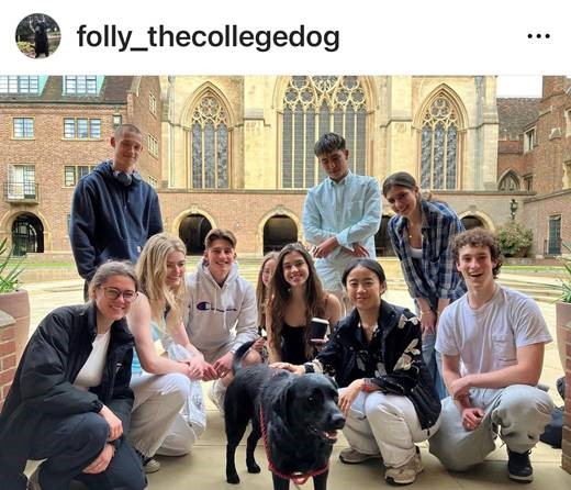 Folly the College dog
