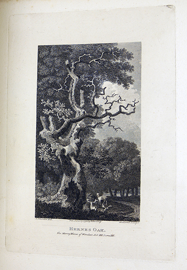 Herne's Oak