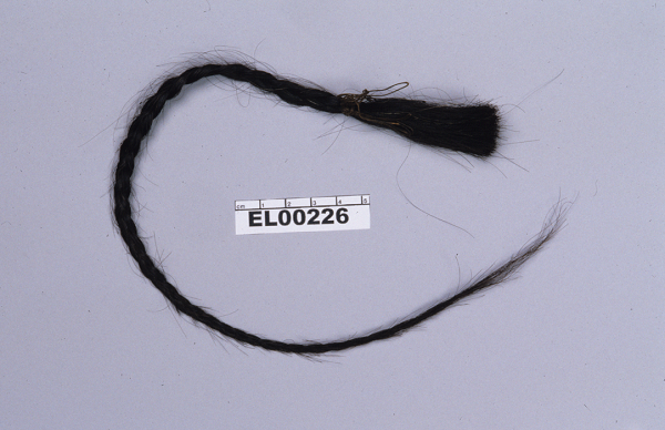 Lock of hair from Sitting Bull.