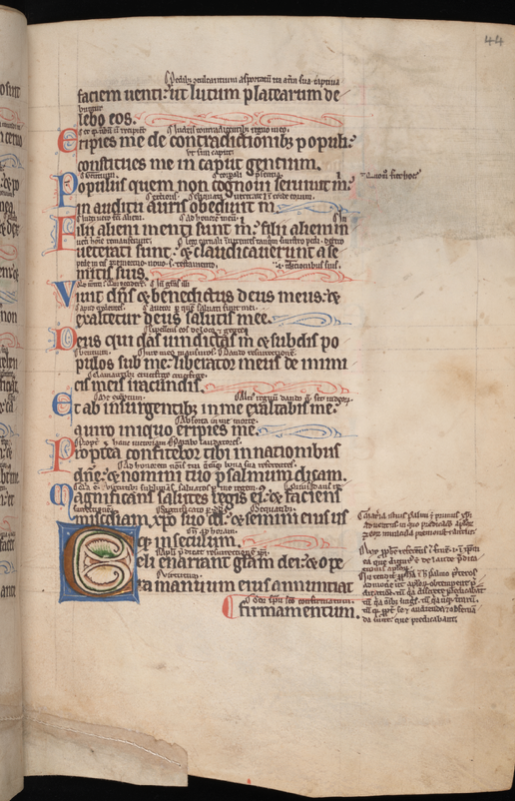 MS D6 folio 44r