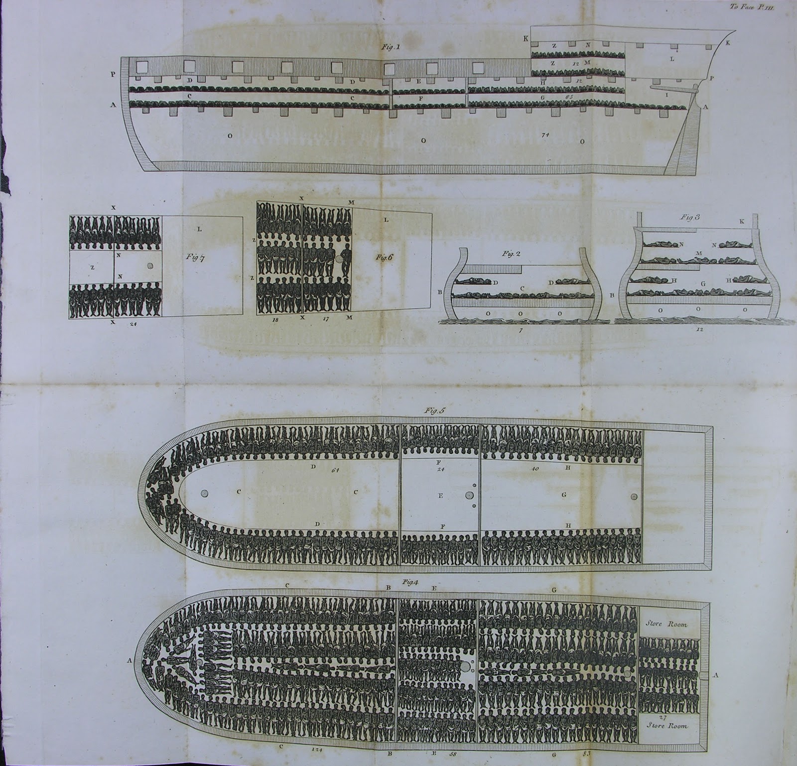 Slave-ship cross-sections