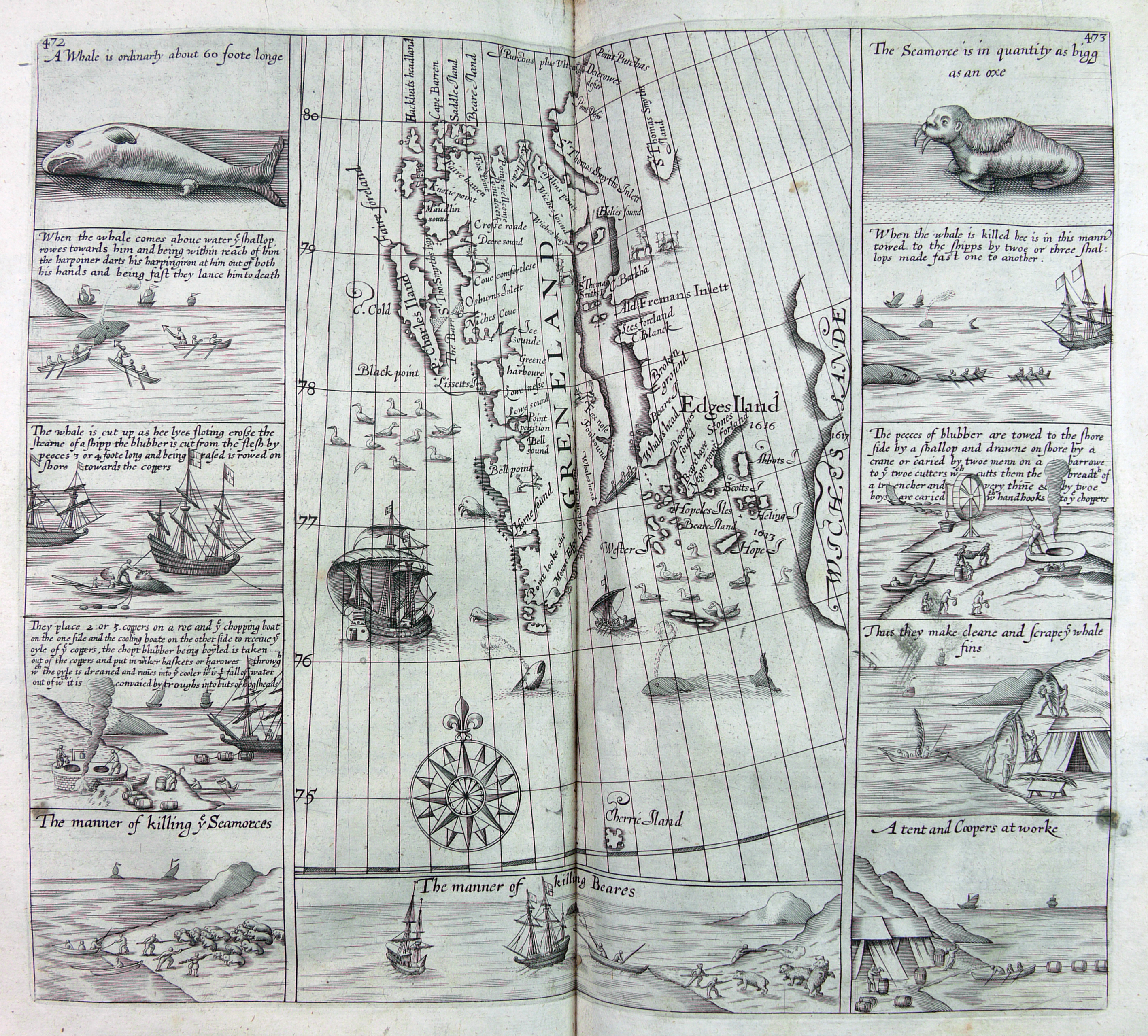 A map of Greenland taken from a printed book. Panels at the edges describe the hunting of whales, walruses and bears.