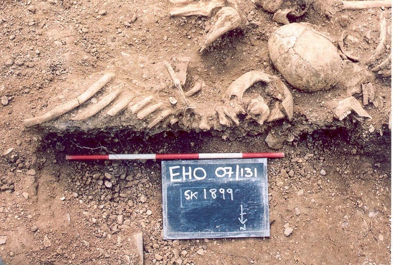 Massacred 10th century Vikings found in a mass grave at St John’s College, Oxford, were part of the study. Credit_ Thames Valley Archaeological Services