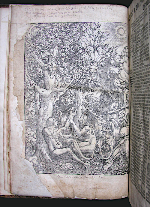 Photograph of the engraving of the Garden of Eden from the Matthew Bible.