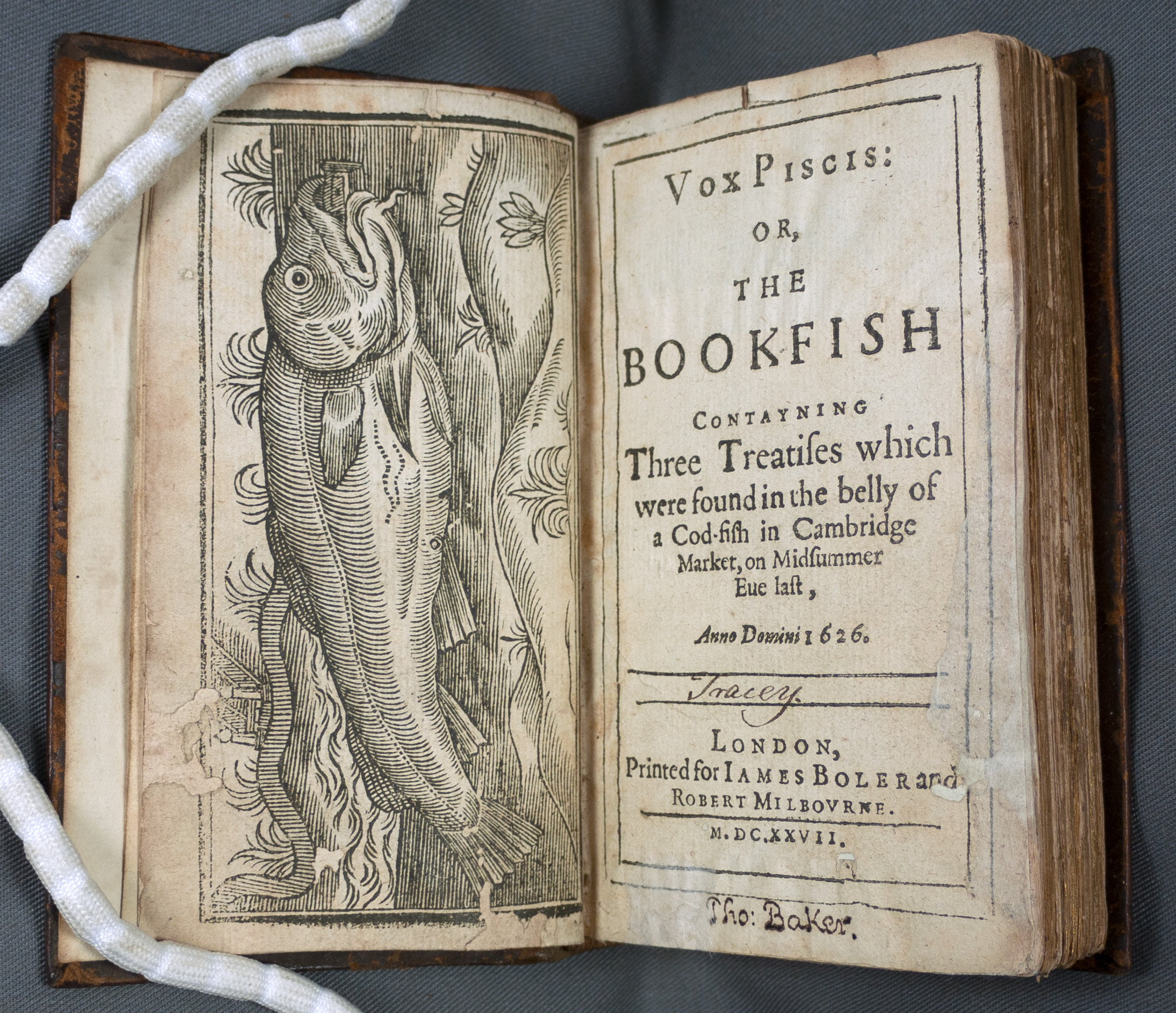 The title page of Vox Piscis faces a frontispiece illustration of a living cod with a book in its mouth swimming through water.