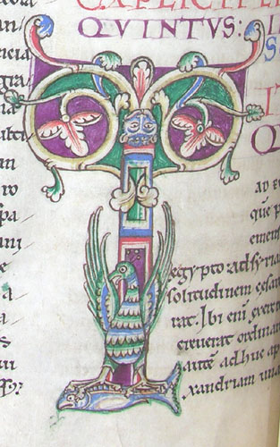Illuminated letter T decorated with a peacock.