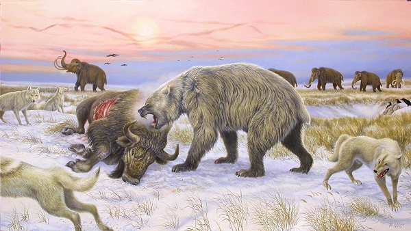 Giant short-faced bear eating a bison on the Pleistocene tundra landscape: Credit: Ronaldino and Grant Zazula, Yukon Beringia Interpretation Centre. For permission to use please fill out form in this Google Drive