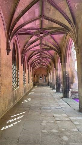 Purple cloisters