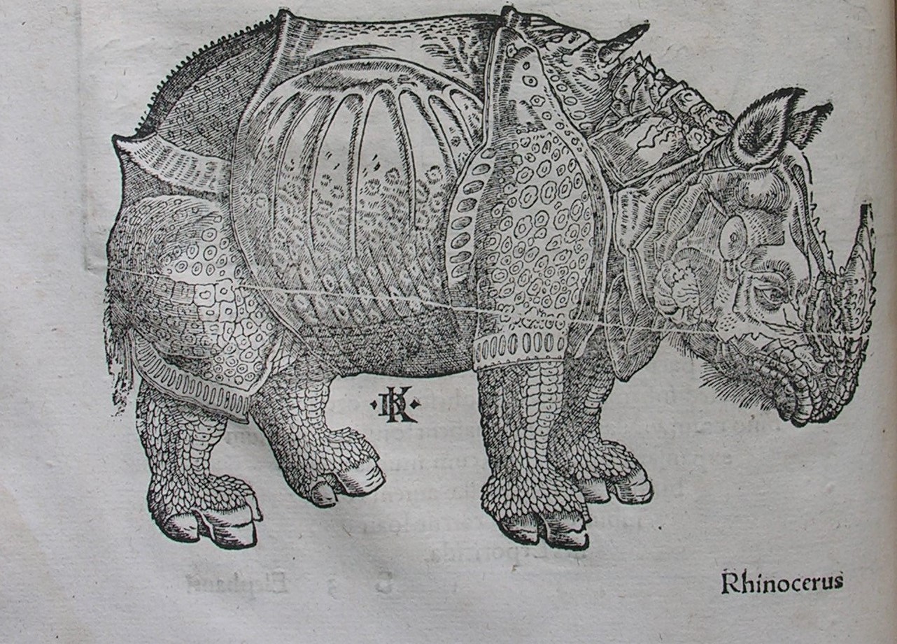A woodcut of a rhinoceros from an early printed book.