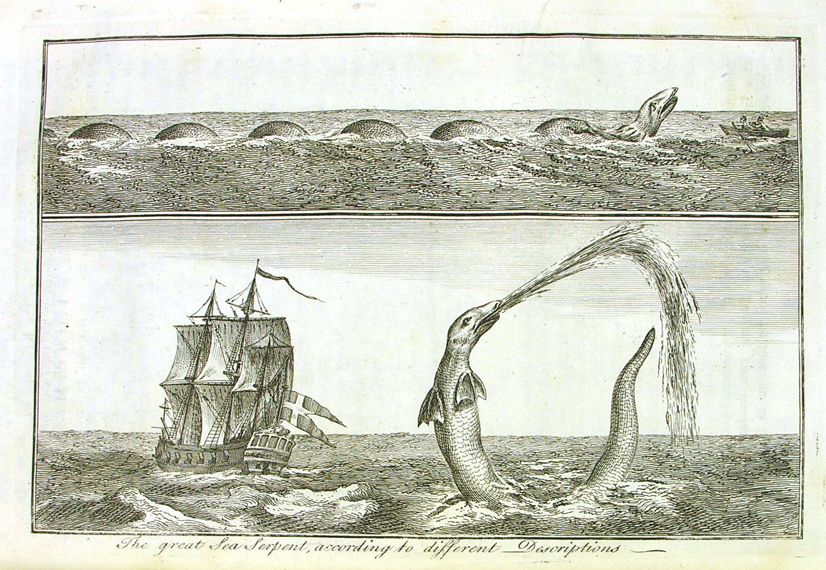 An illustration of a sea serpent from an early printed book.