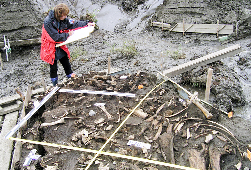 Archaeological site near the Yana River