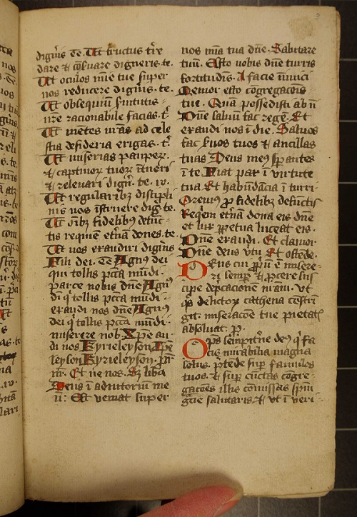 A page of Elizabeth Trotter's manuscript