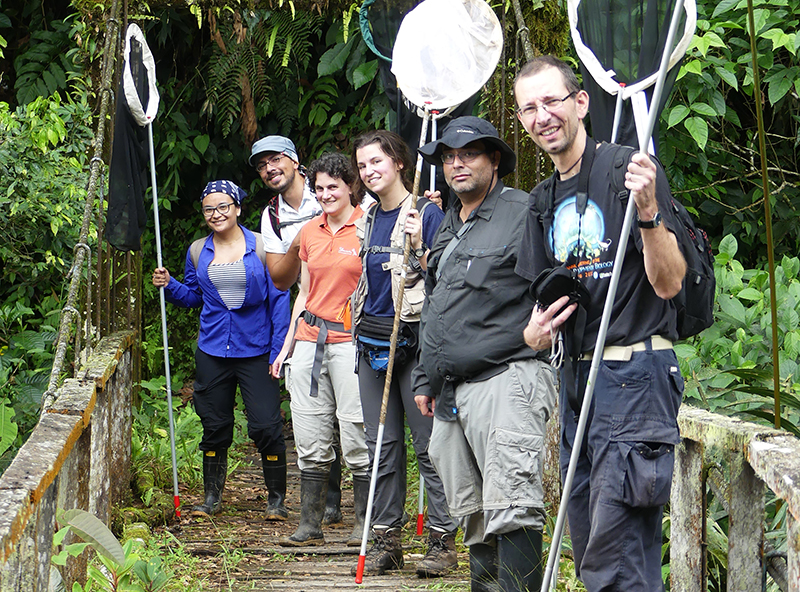 The research team collecting butterflies in Colombia