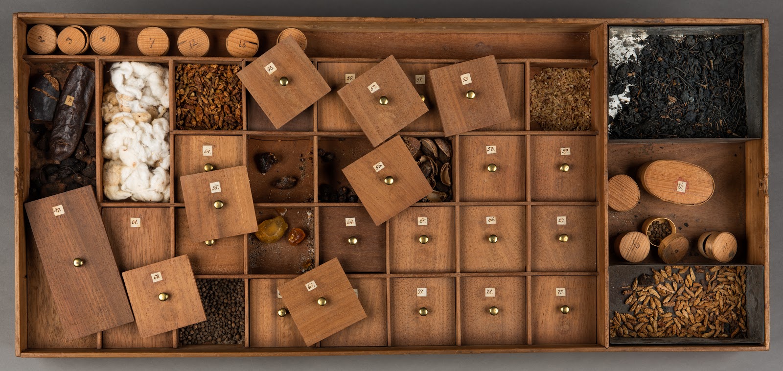 Seed tray