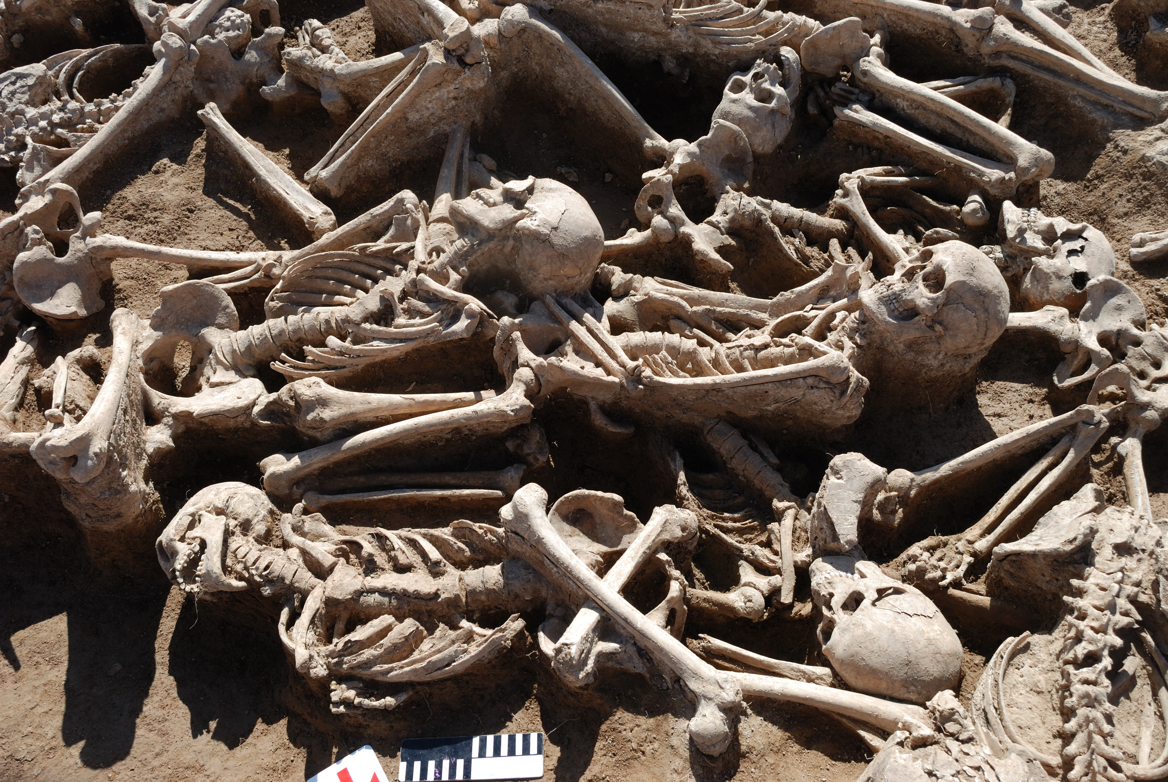 Mass burial site in Mongolia