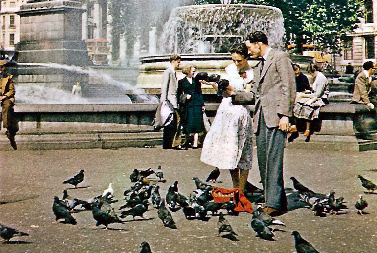 A photo from the 1950s shows a couple feeding the pigeons in Trafalgar square