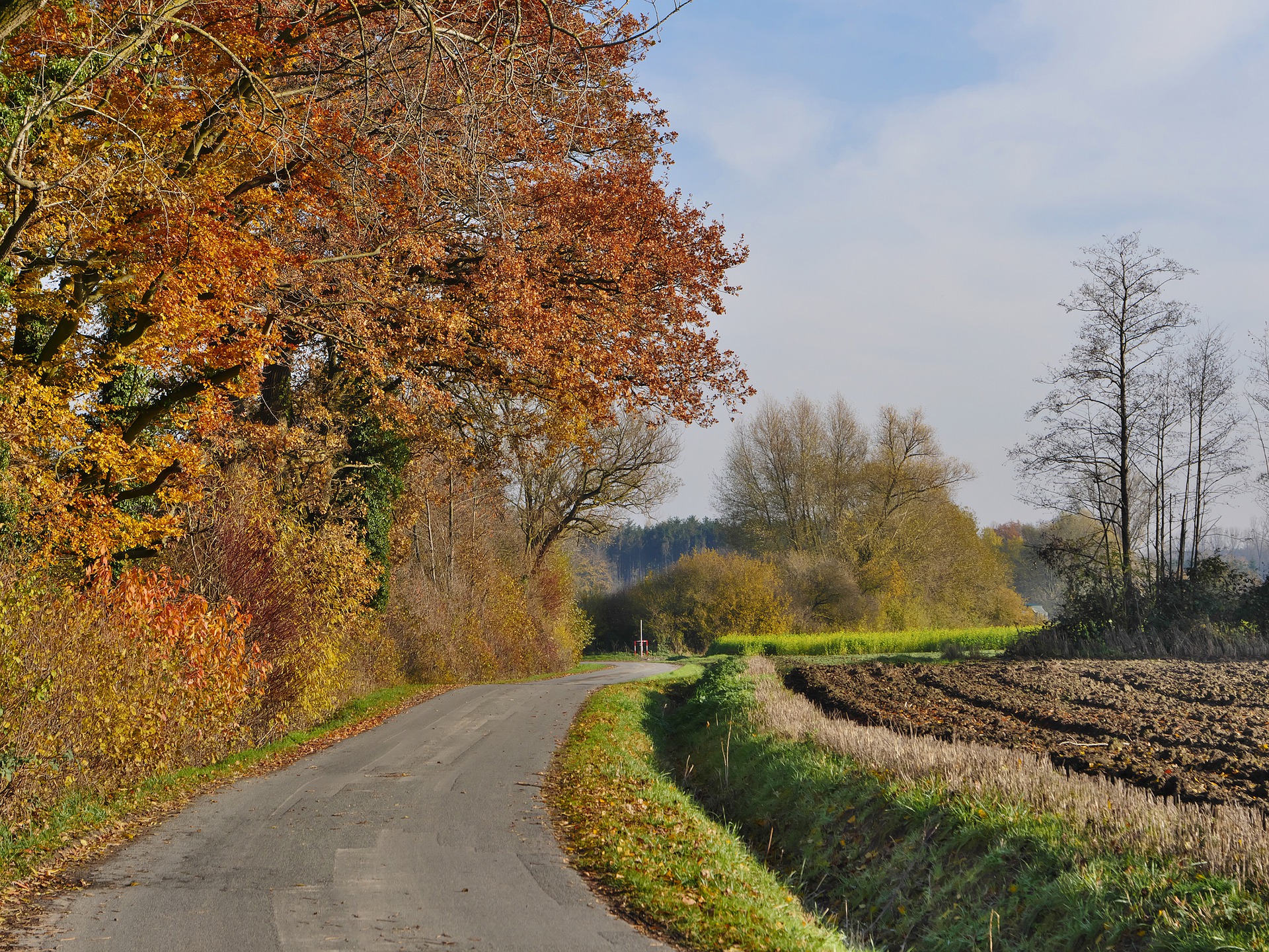 Autumn scene