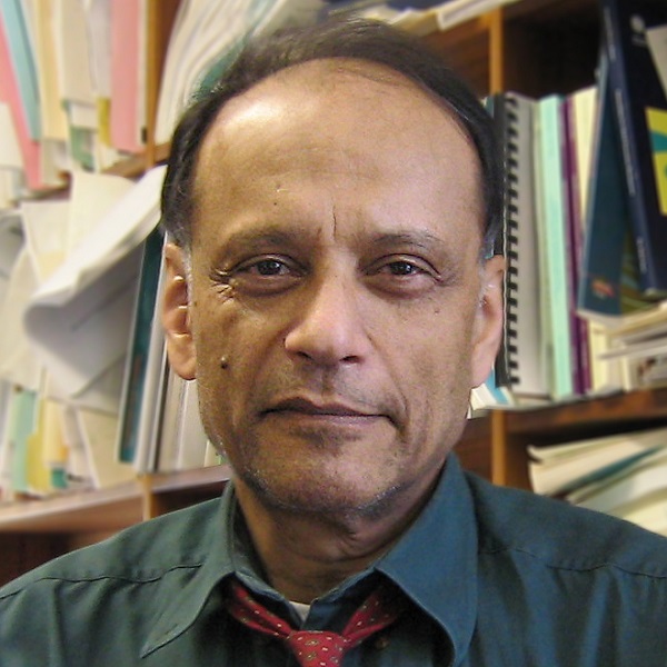 ​  Professor Sir Partha Dasgupta.  ​