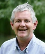Stephen Gull